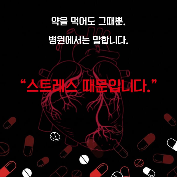 카드뉴스2