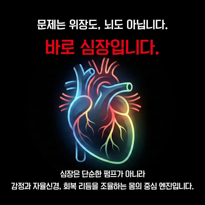 카드뉴스3