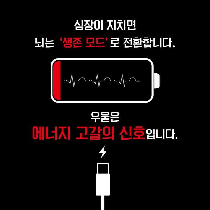 카드뉴스5