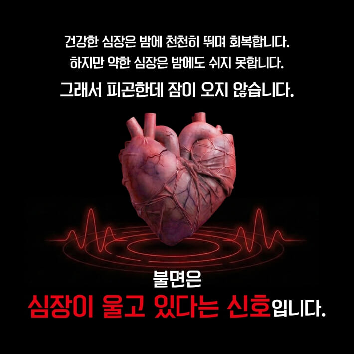 카드뉴스6