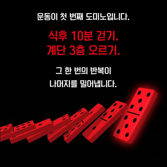 카드뉴스10