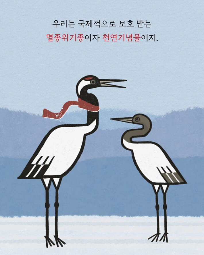 카드뉴스2
