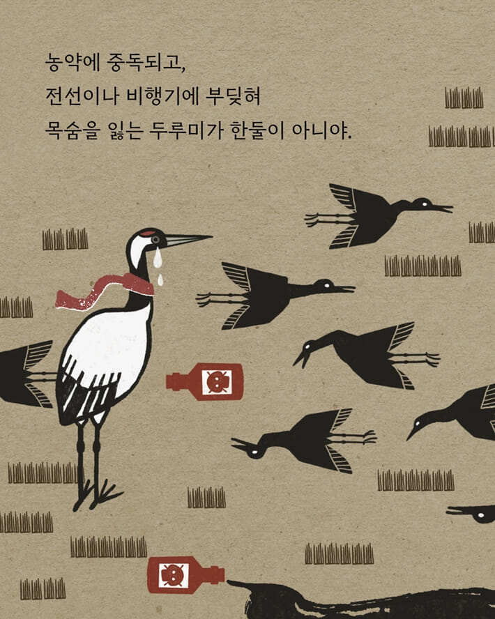 카드뉴스5