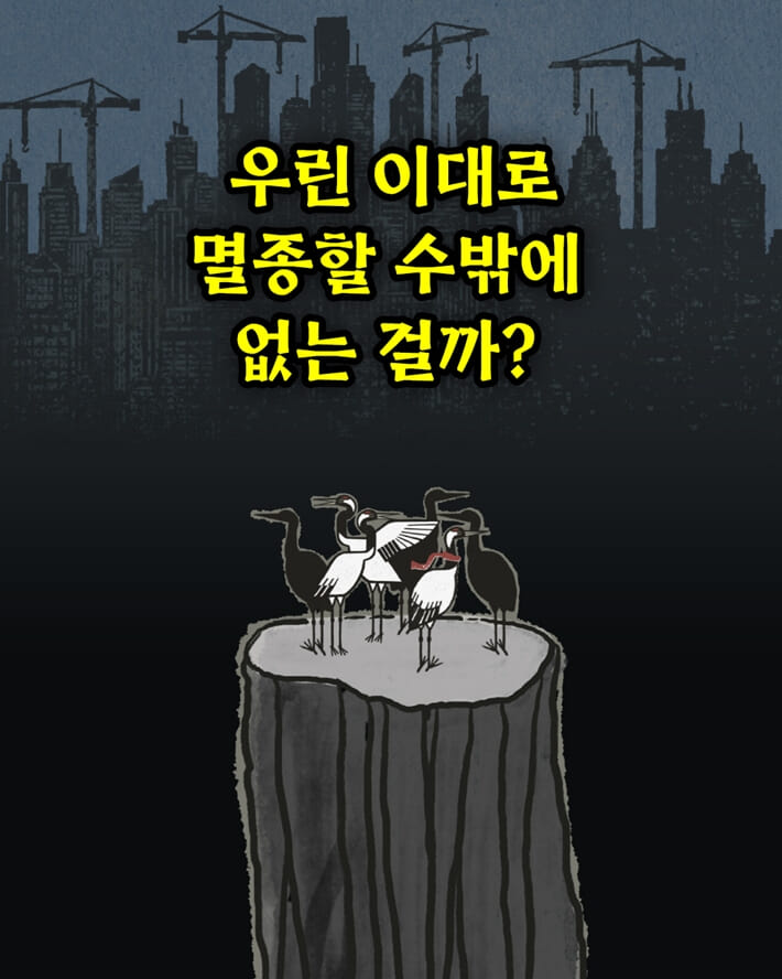카드뉴스6
