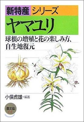 ヤマユリ 球根の增殖と花の樂しみ方,自生地復元