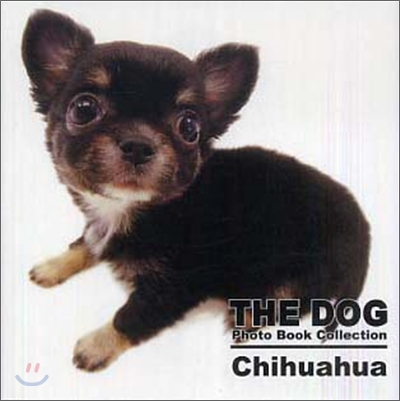 THE DOG Photo Book Collection Chihuahua