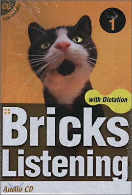 Bricks Listening with Dictation 1