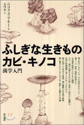 ふしぎな生きものカビ.キノコ