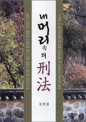 내 머리 속의 형법