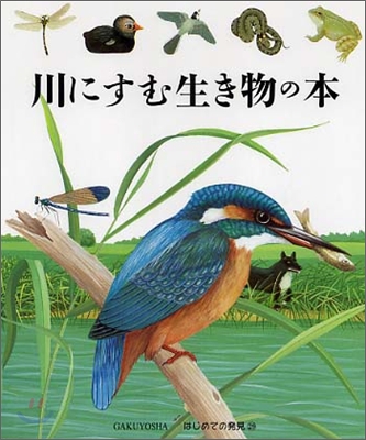 はじめての發見(29)川にすむ生き物の本