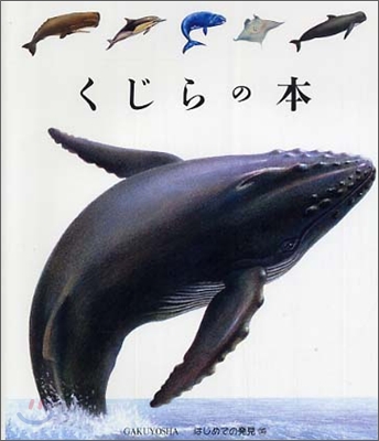 はじめての發見(35)くじらの本