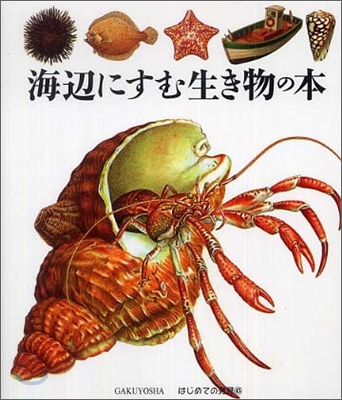 はじめての發見(45)海邊にすむ生き物の本