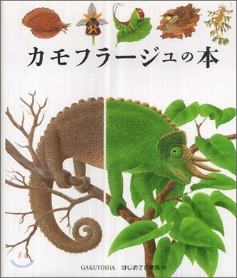 はじめての發見(46)カモフラ-ジュの本