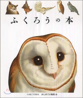 はじめての發見(48)ふくろうの本