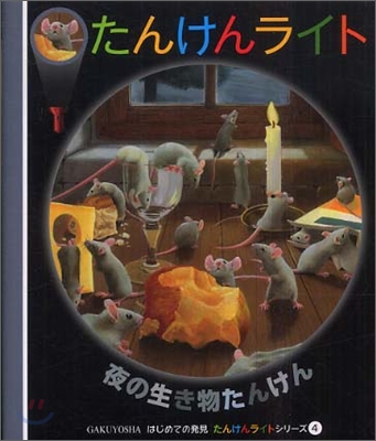 はじめての發見 たんけんライトシリ-ズ(4)夜の生き物たんけん