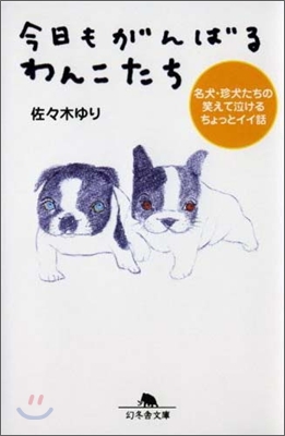 今日もがんばるわんこたち