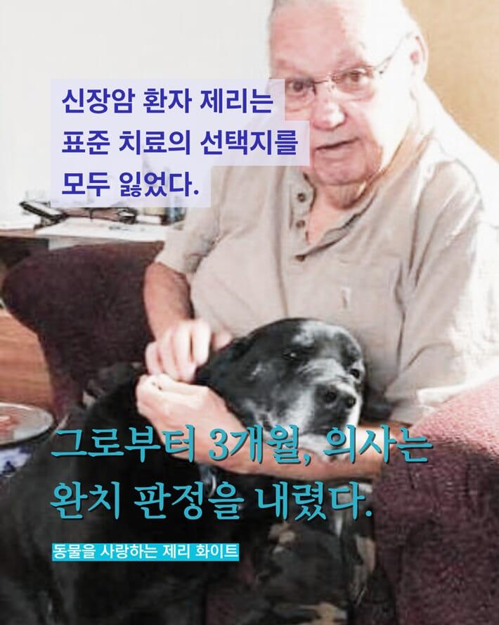 카드뉴스6