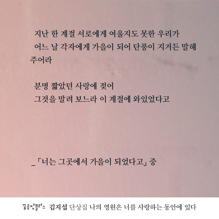 카드뉴스2