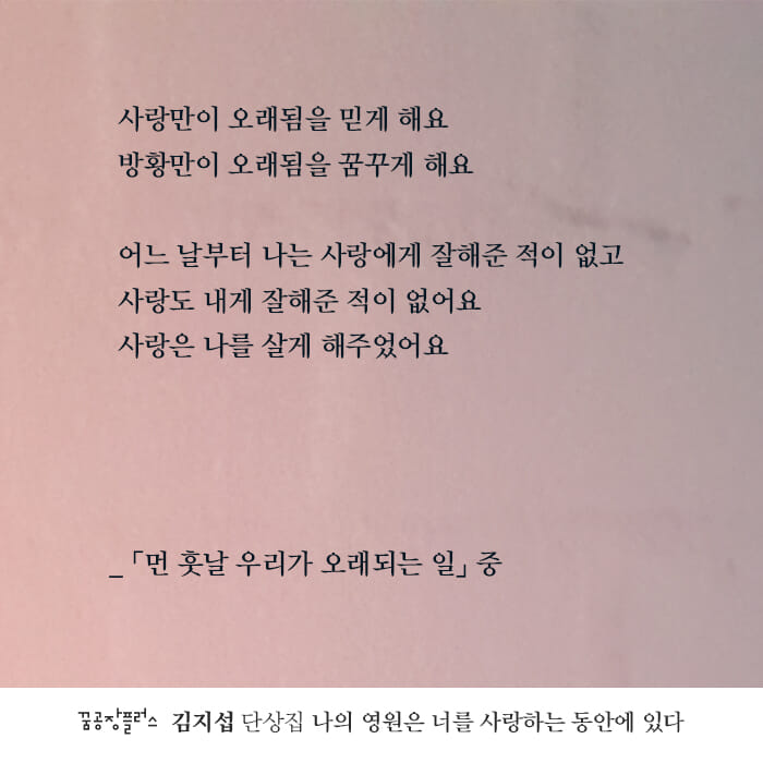 카드뉴스5