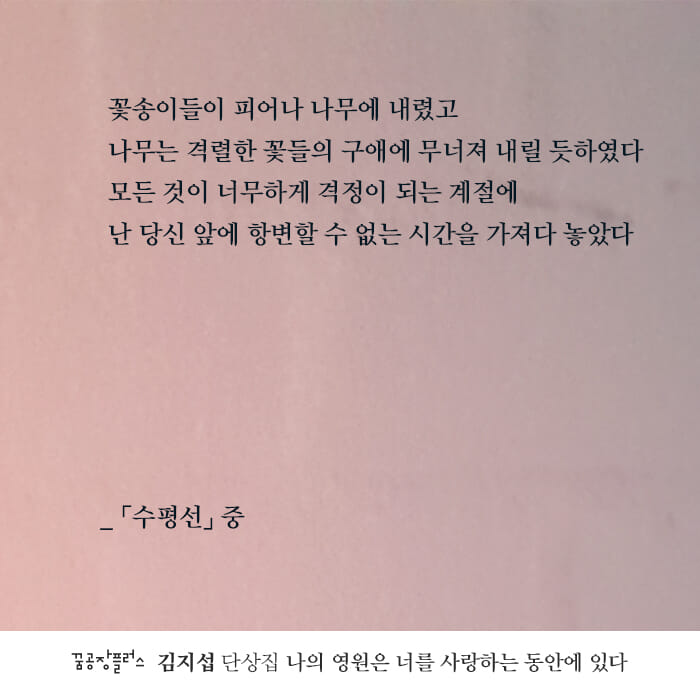 카드뉴스8
