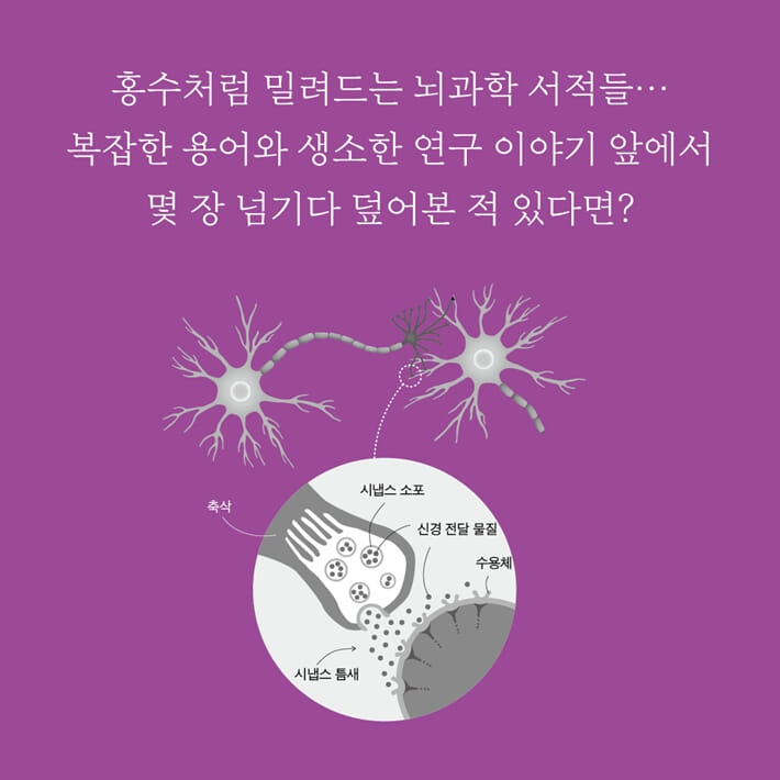 카드뉴스2