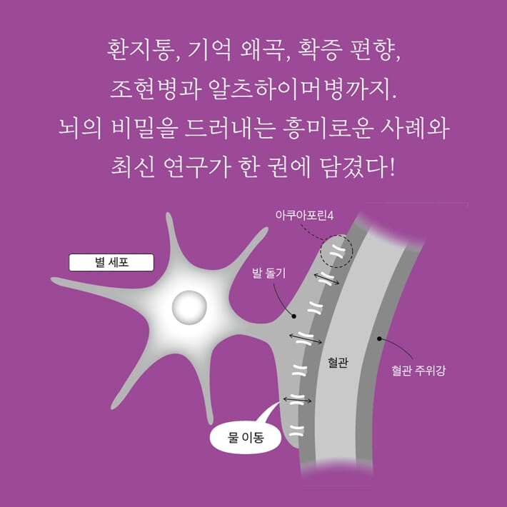 카드뉴스5