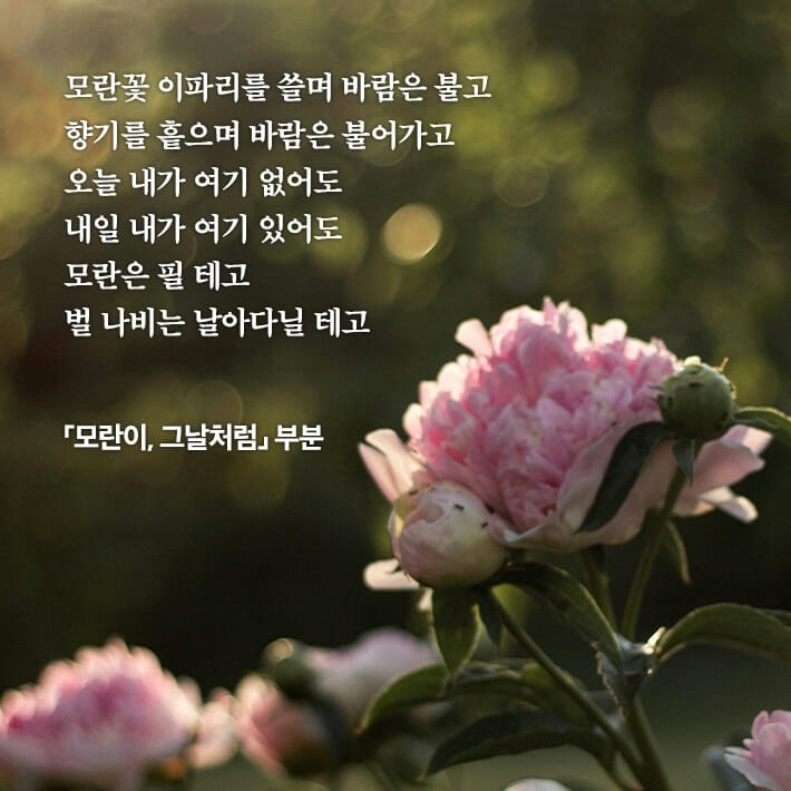 카드뉴스3