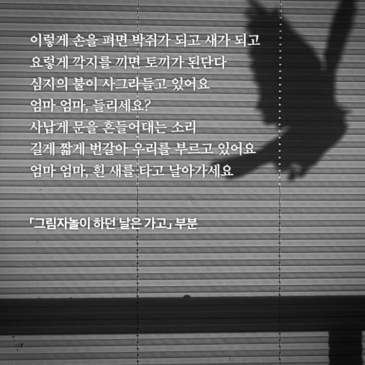 카드뉴스5