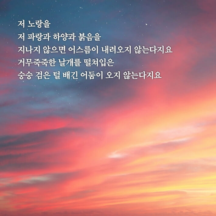 카드뉴스6