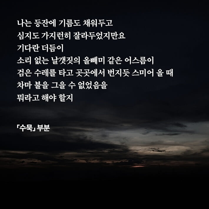 카드뉴스7