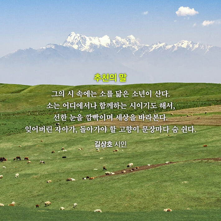 카드뉴스8