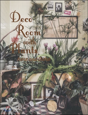 Deco Room with Plant