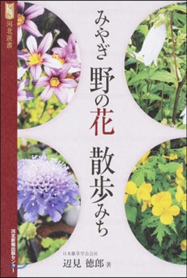 みやぎ野の花散步みち