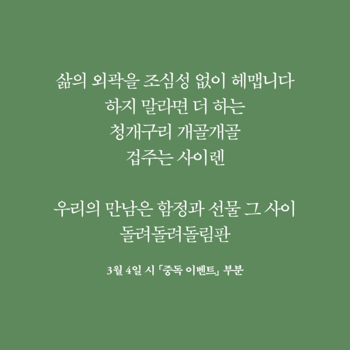카드뉴스4