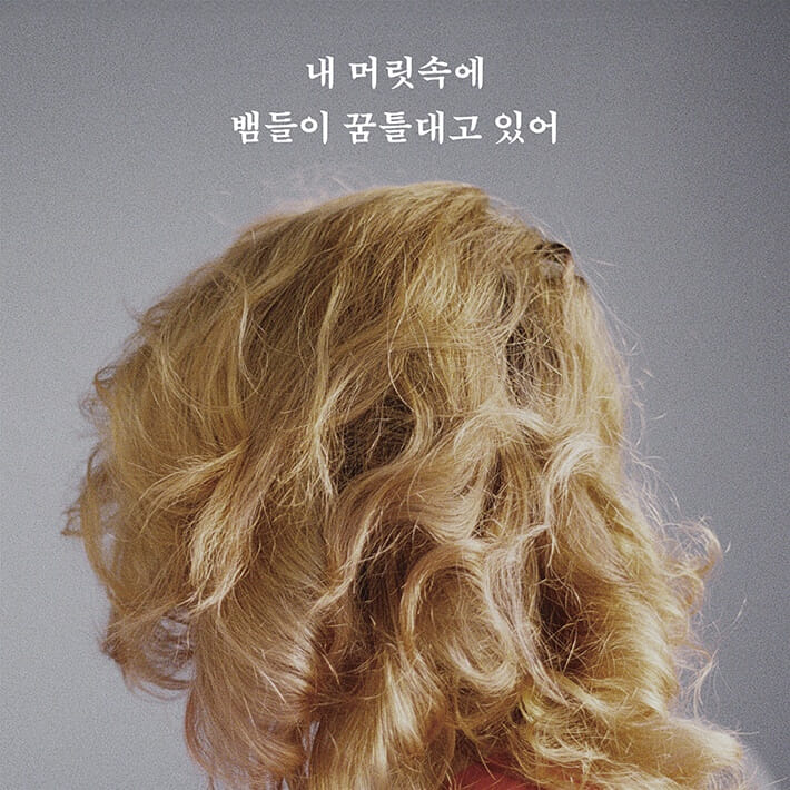 카드뉴스2