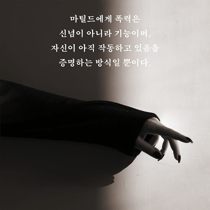 카드뉴스5