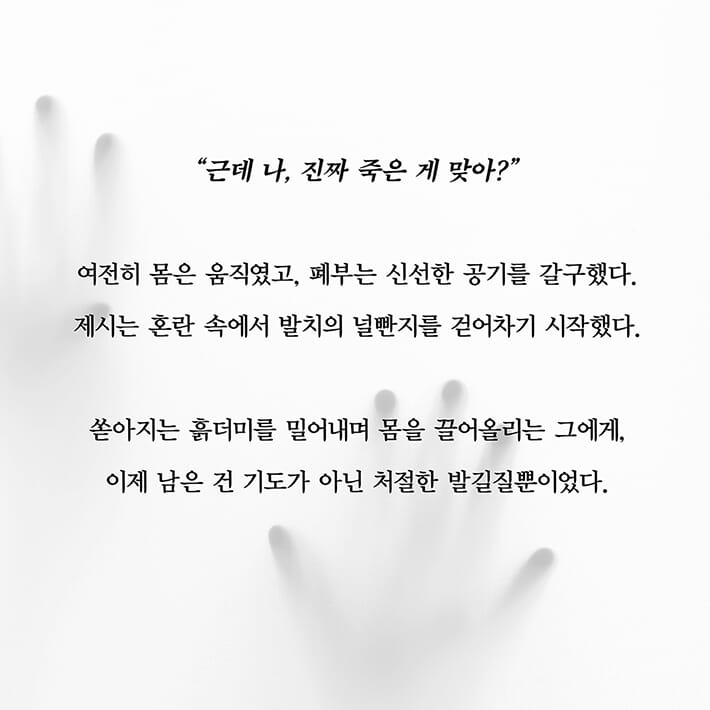 카드뉴스3
