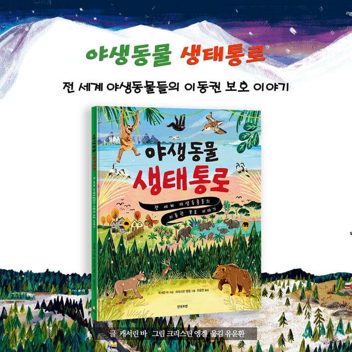 카드뉴스1