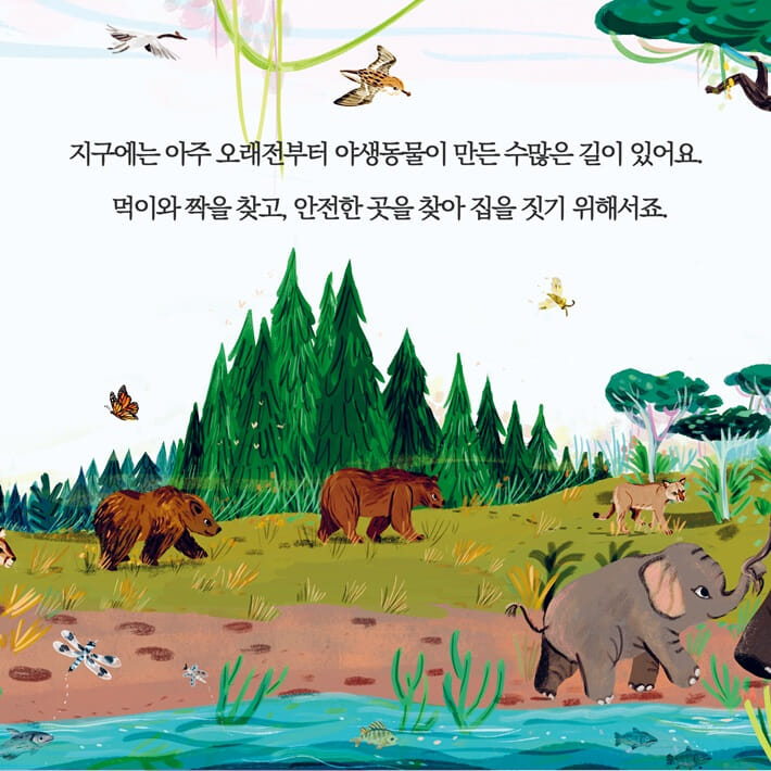 카드뉴스2