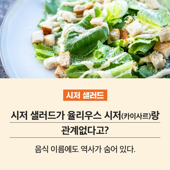 카드뉴스2
