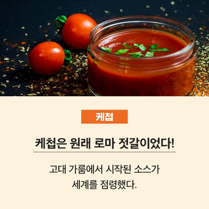 카드뉴스4
