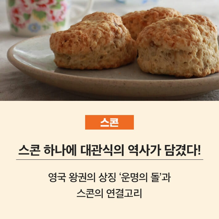 카드뉴스5