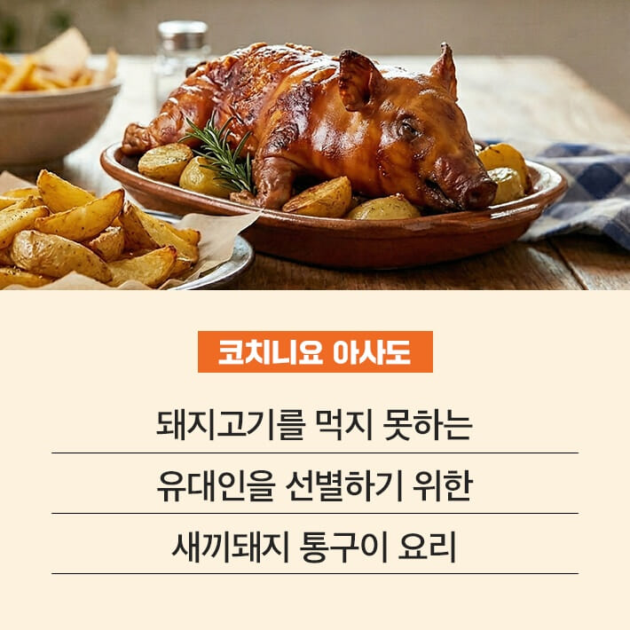 카드뉴스6