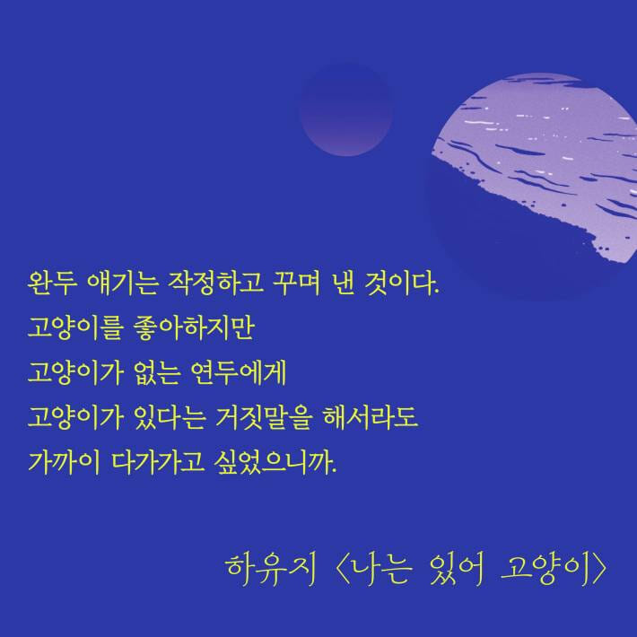카드뉴스6