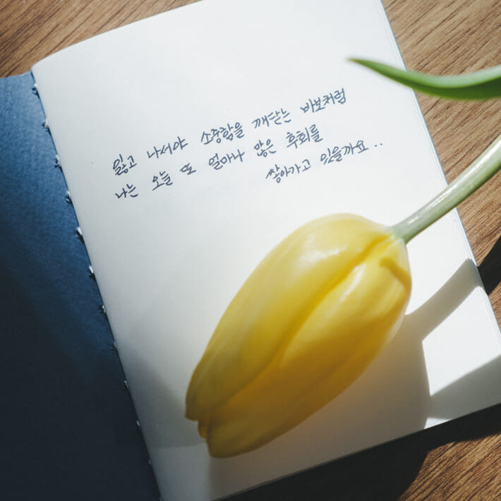 카드뉴스8