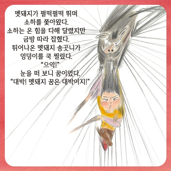 카드뉴스6