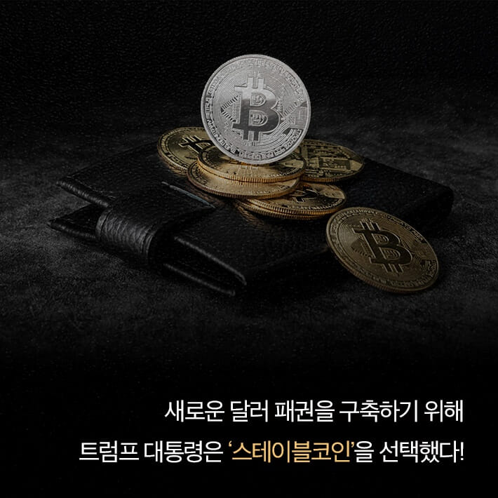카드뉴스3