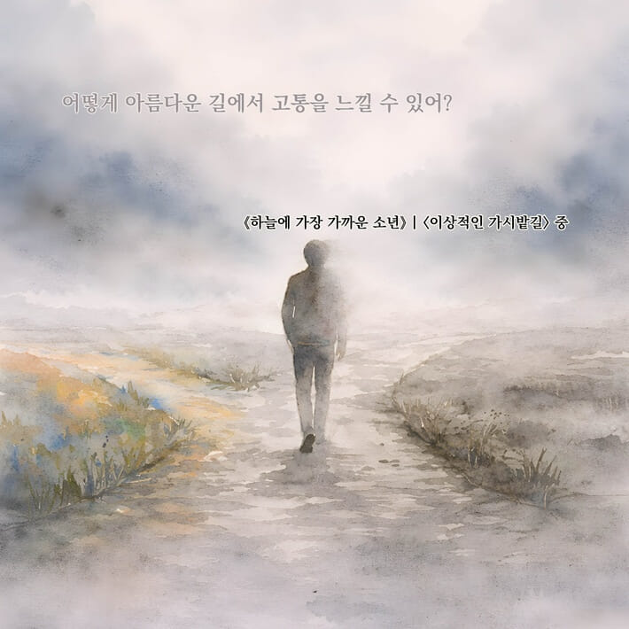 카드뉴스5
