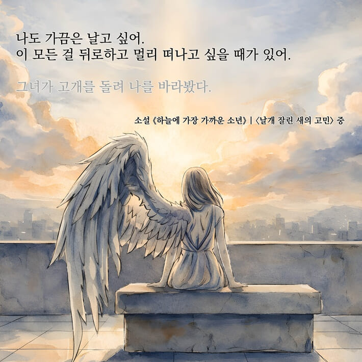 카드뉴스11
