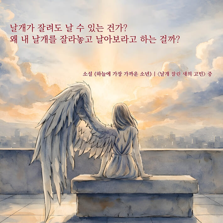 카드뉴스12